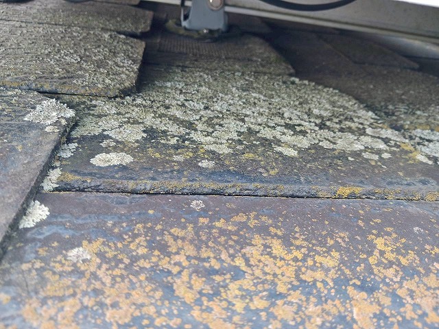 カビた屋根材